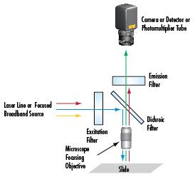 Giai photnics co. , ltd m.tyhjws.com