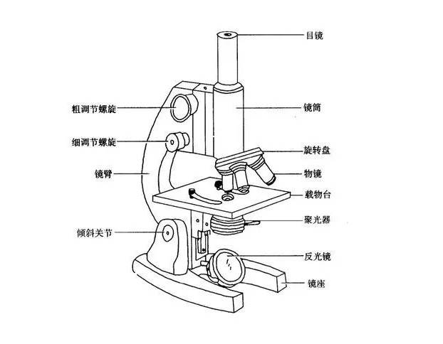 偏光顯微鏡 偏光顯微鏡
