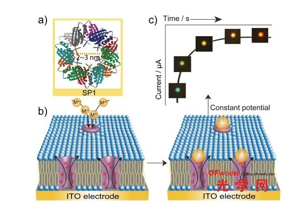 利用單納米粒子散射光譜技術實時追蹤生物分子 利用單納米粒子散射光譜技術實時追蹤生物分子