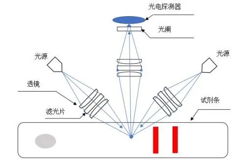 熒光層析儀非共聚焦光路 熒光層析儀非共聚焦光路