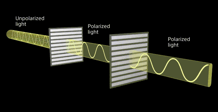 偏振鏡的發現 偏振鏡的發現
