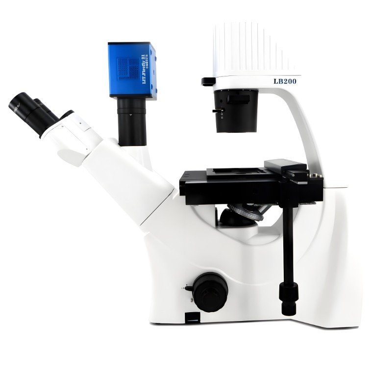 濾光片 相差顯微鏡的光學元件應用與技術解析