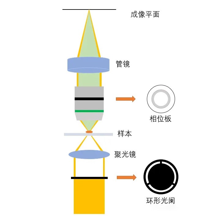 光學系統與工作原理 光學系統與工作原理