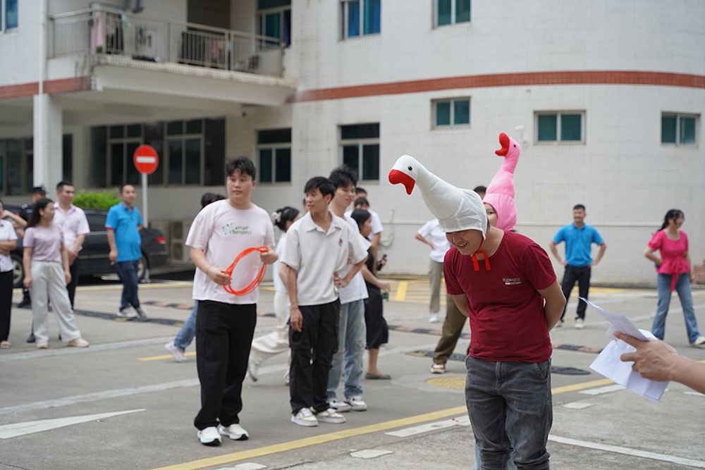濾光片 趣味活動套大鵝3