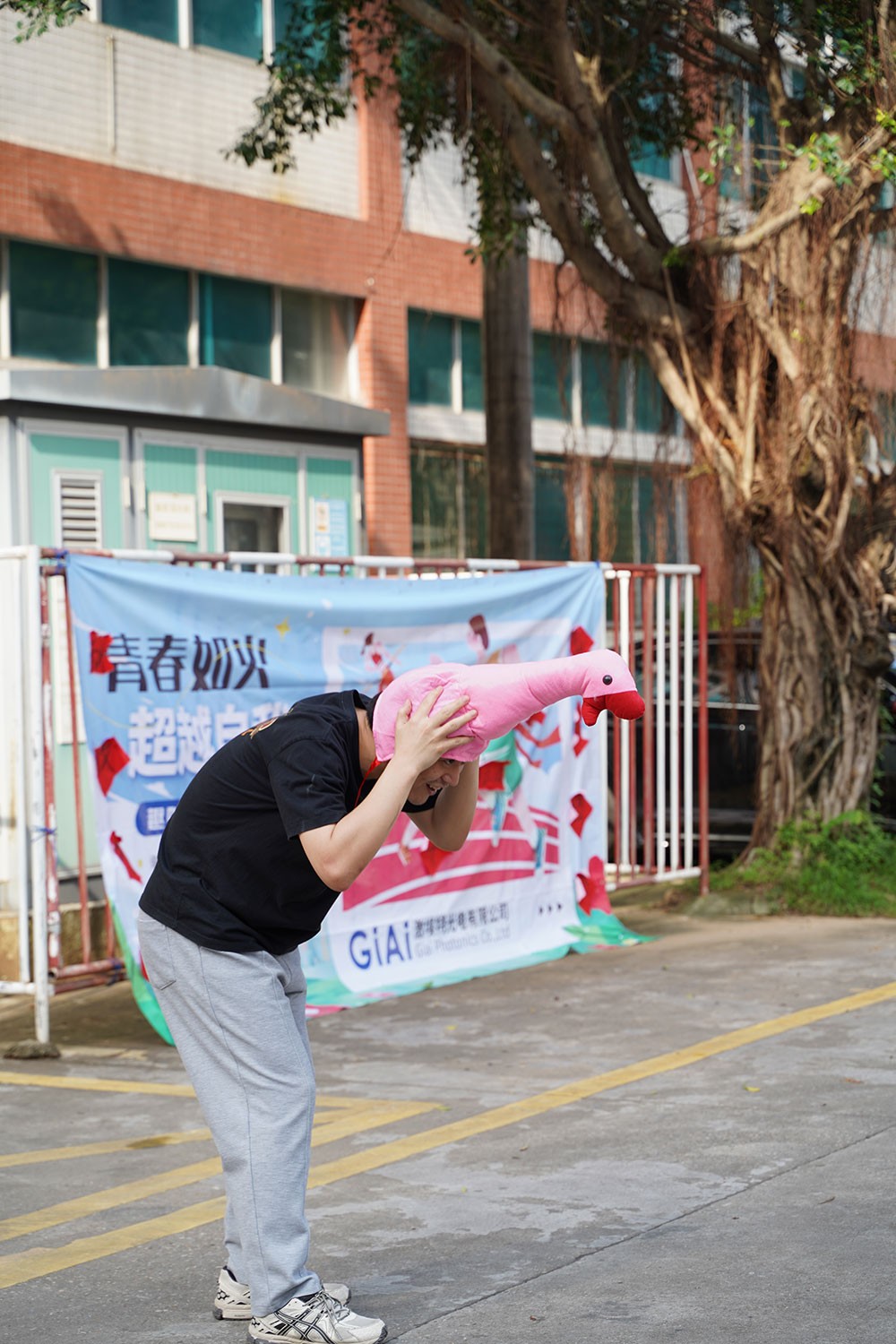 濾光片 趣味活動套大鵝1