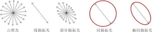 什么是偏振光？偏振光是如何完成檢測的？