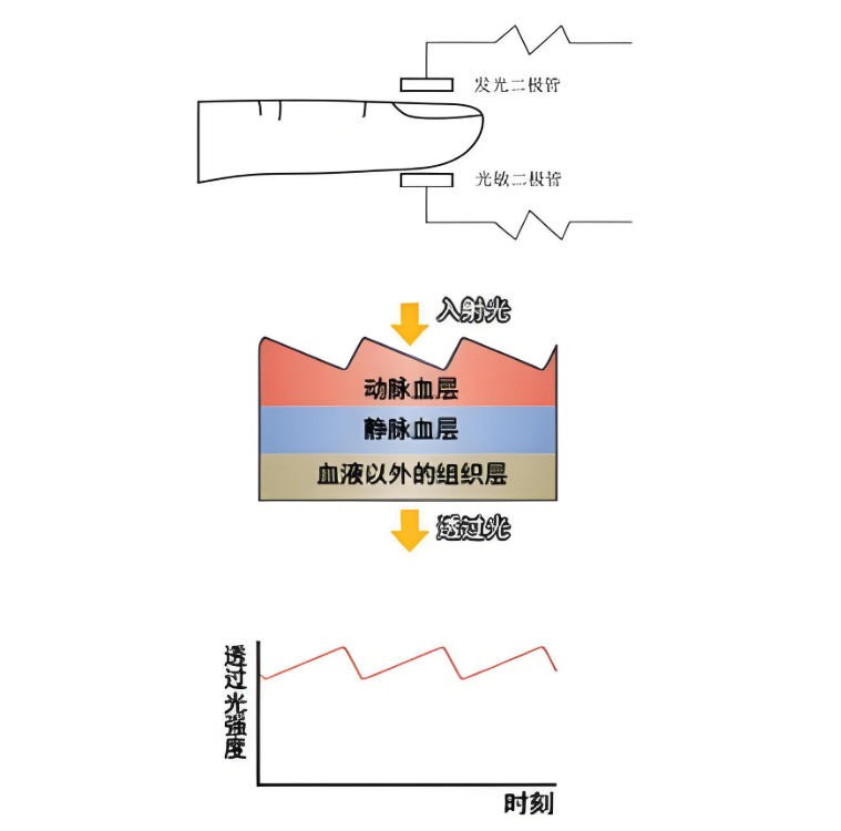 脈搏血氧儀簡(jiǎn)介與光學(xué)原理< 脈搏血氧儀簡(jiǎn)介與光學(xué)原理<