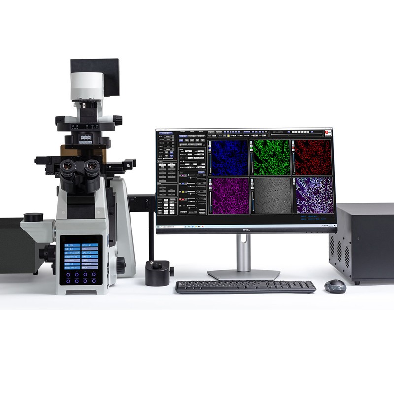 激光掃描共聚焦顯微鏡 激光掃描共聚焦顯微鏡