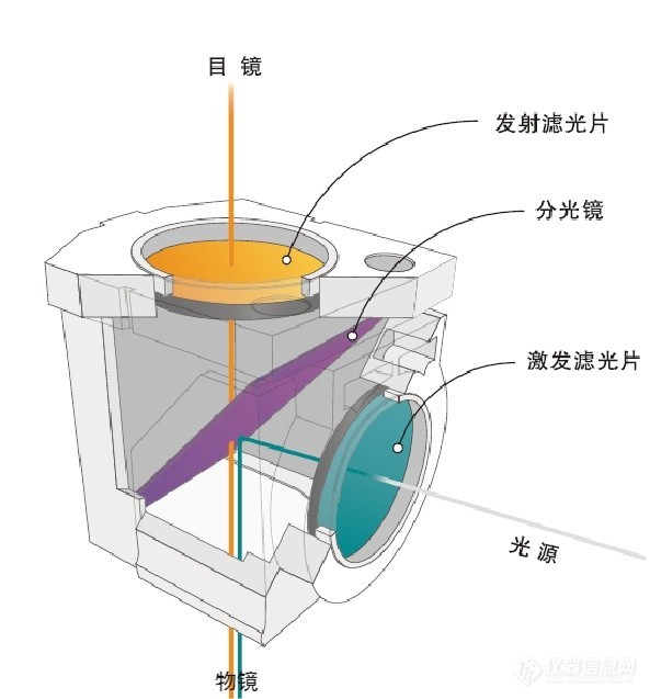 熒光顯微鏡結構圖 熒光顯微鏡結構圖