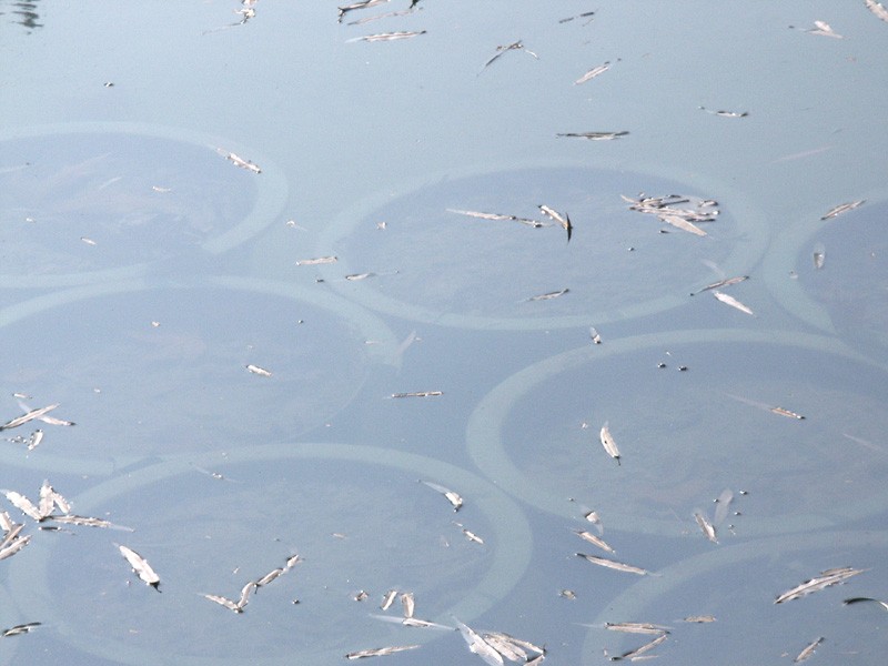 濾光片 偏振鏡光學原理和在機器視覺中的應用